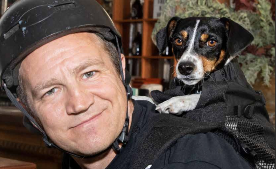 Sydney dogs and cats image